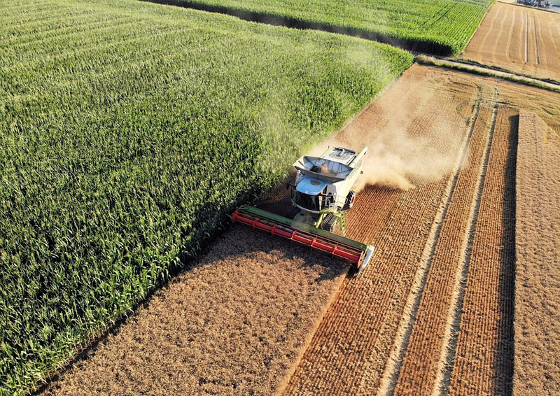 CMMS onderhoud in de voedingsmiddelenindustrie – Getuigenis Malteurop